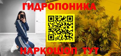 прущие грибы Ликино-Дулёво