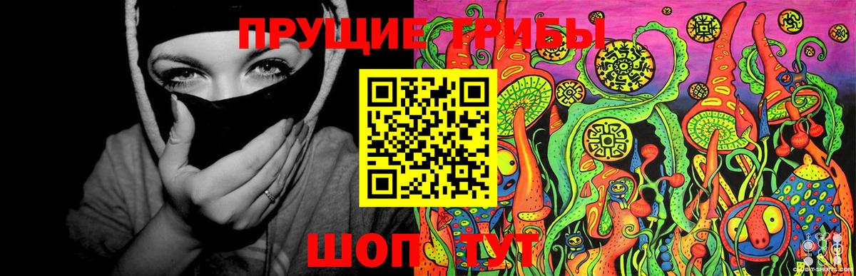 Галлюциногенные грибы Psilocybine cubensis  Вход с VPN  Псилоцибиновые грибы Psilocybine cubensis  Торжок 