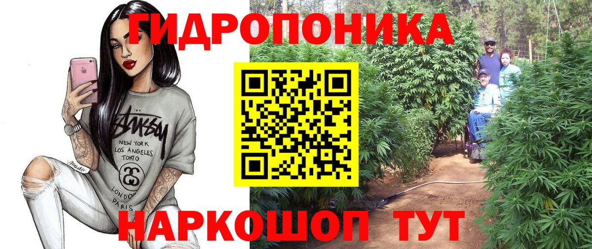 Бошки Шишки семена  Конопля индика  Канабис Ganja  Вход с VPN  Торжок 